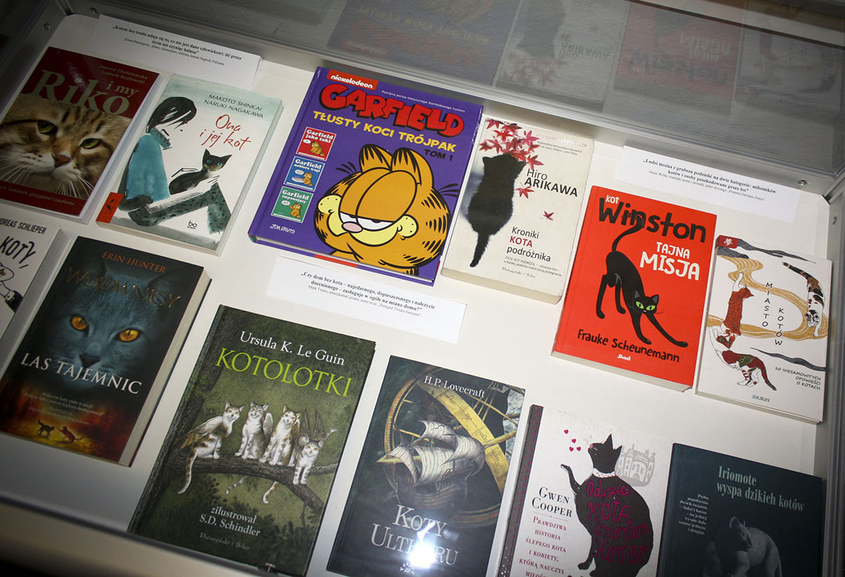 wystawa książek z motywem Dzień Kota