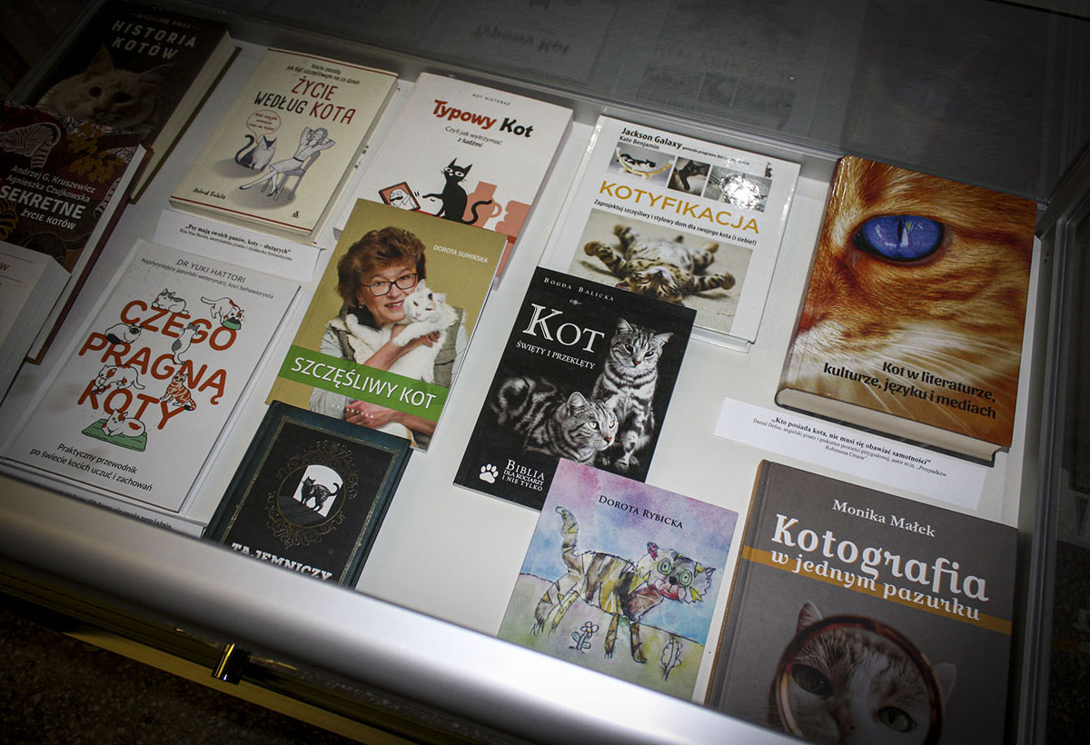 wystawa książek z motywem Dzień Kota