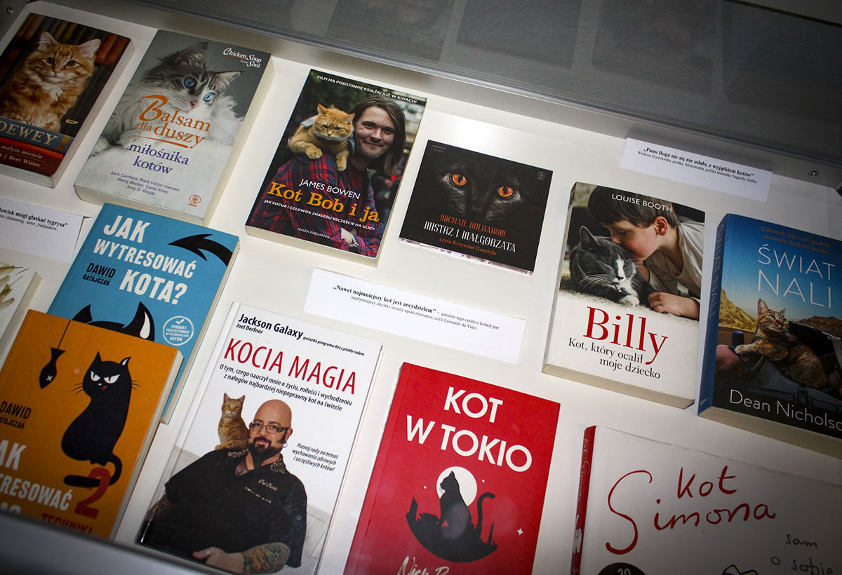 wystawa książek z motywem Dzień Kota